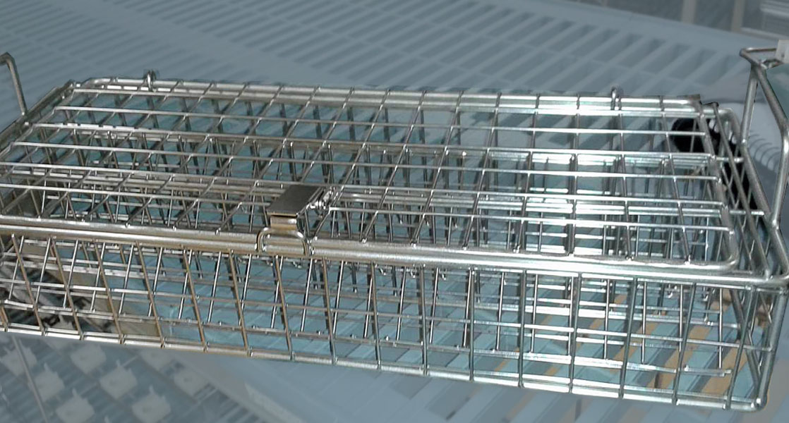 Traceability code on basket Batch identification feature